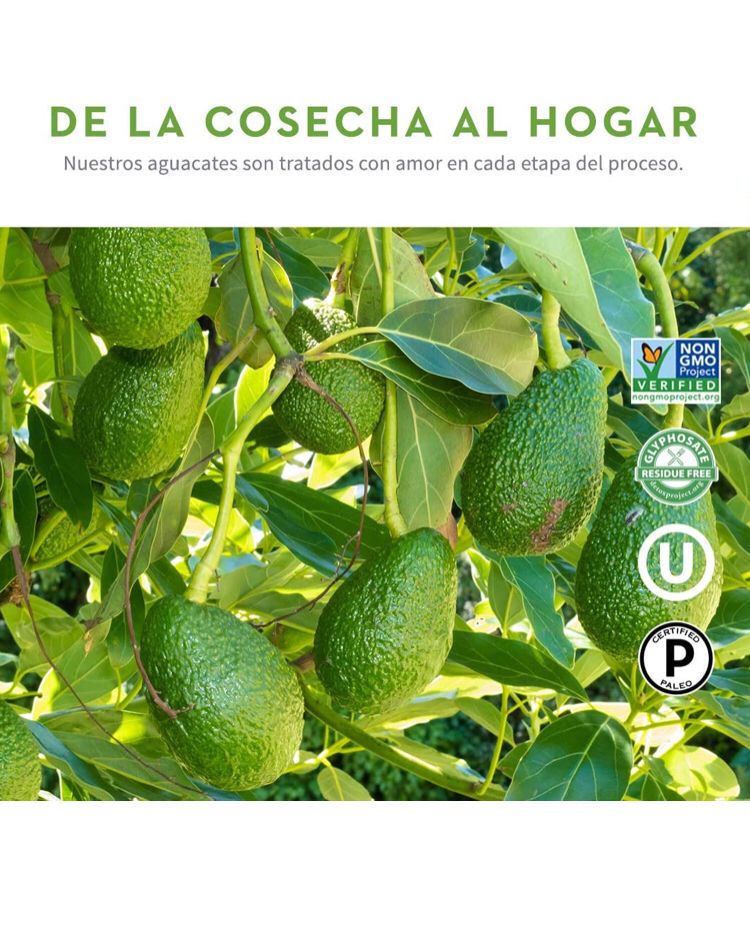 Chosen Foods, Mayonesa De Aguacate 710ml, Sin Gluten