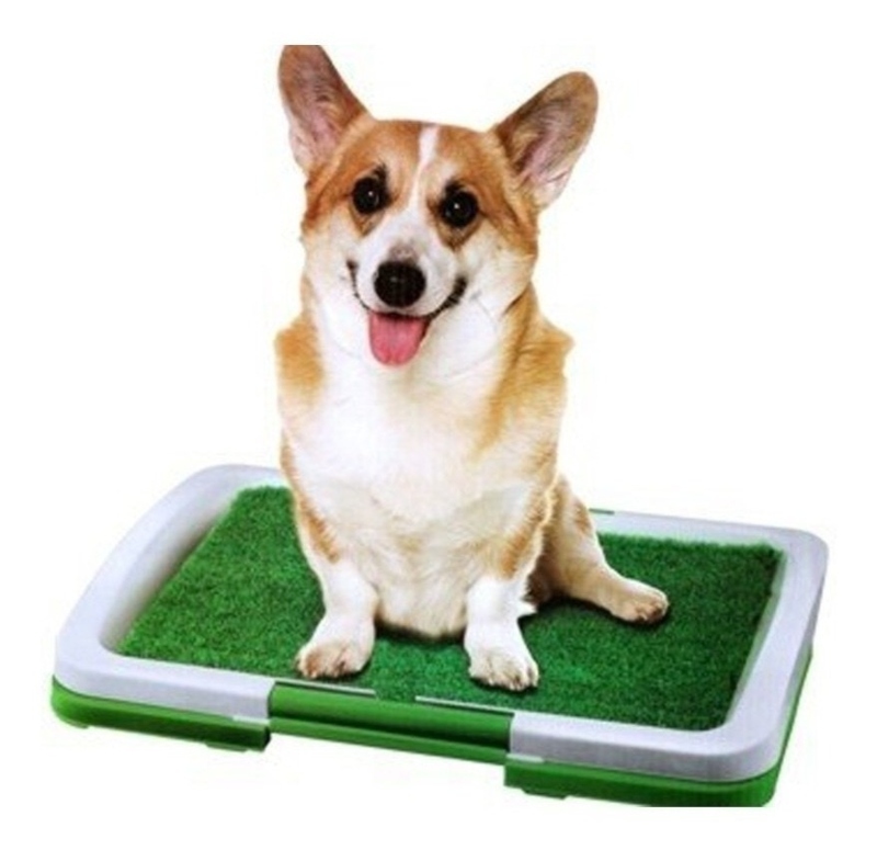 Puppy Potty Pad Tapete De Perro Gato Entrenador Para Ir Baño