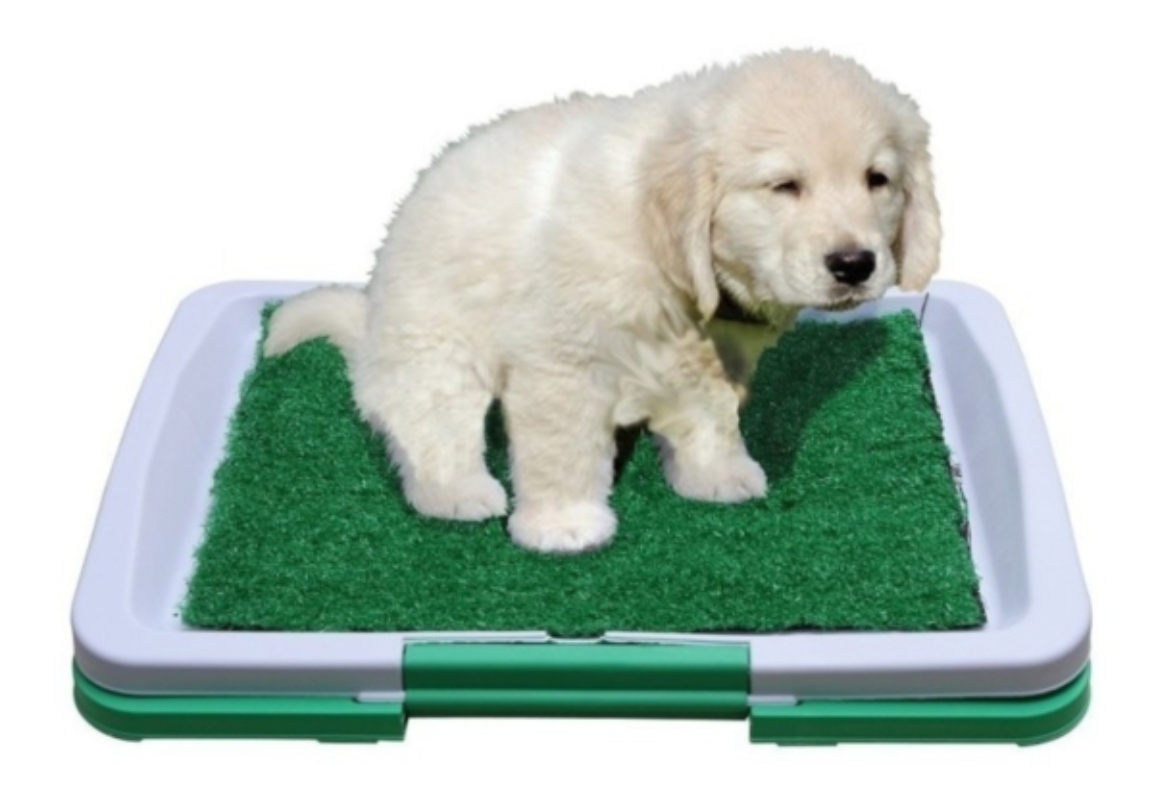 Puppy Potty Pad Tapete De Perro Gato Entrenador Para Ir Baño