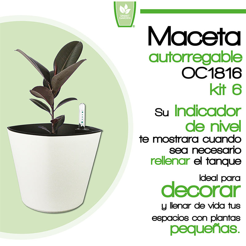 Smart Garden Kit 6X Maceta autorregable OC1816 Decorativa, Ovalada, Centro de Mesa - Chica, Moderna, Interior - Autorriego Inteligente - Plástico PP (18cm de diámetro x 16cm de Alto) (6, Blanco Mate)