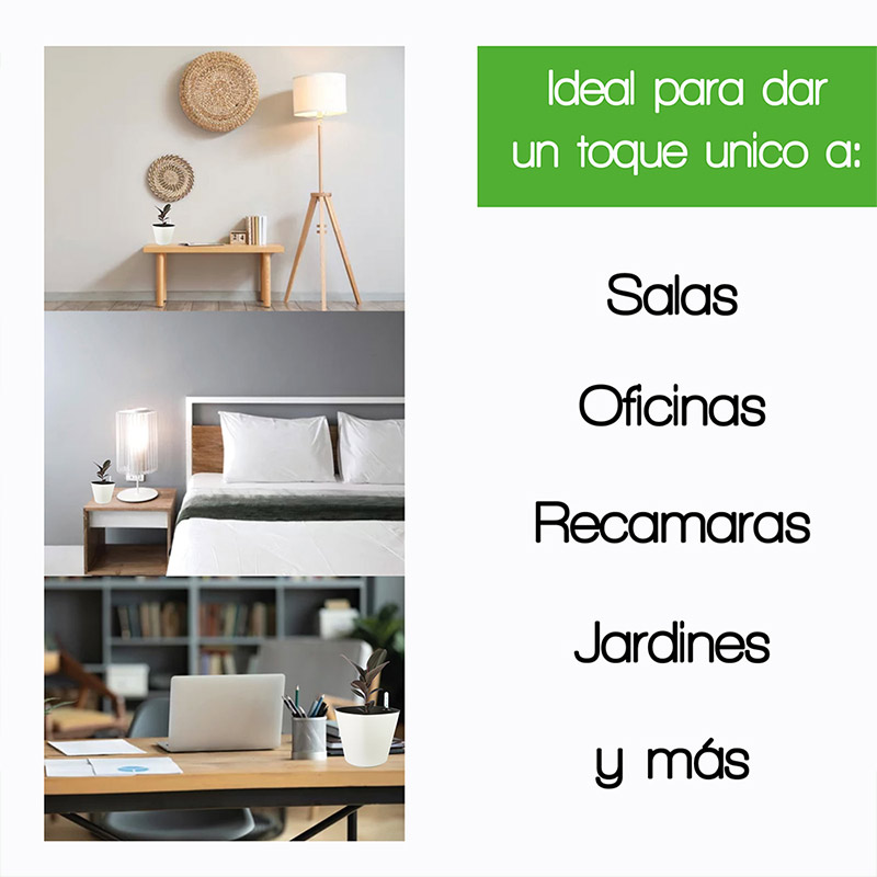 Smart Garden Kit 6X Maceta autorregable OC1816 Decorativa, Ovalada, Centro de Mesa - Chica, Moderna, Interior - Autorriego Inteligente - Plástico PP (18cm de diámetro x 16cm de Alto) (6, Blanco Mate)