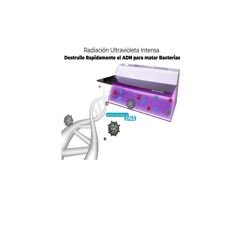 Esterilizador De Herramientas De Belleza De Luz UV  Timco EST - Plata