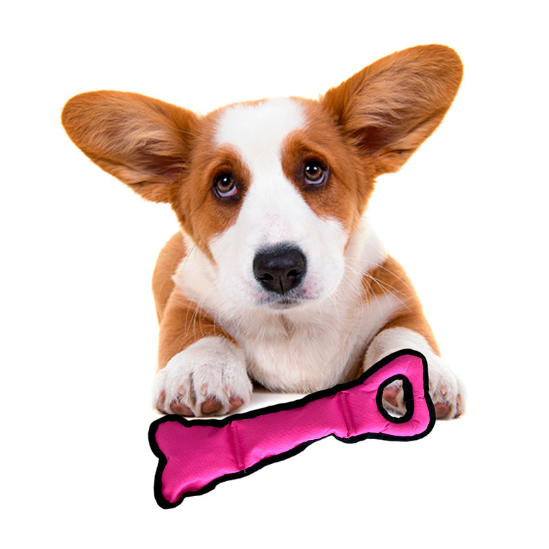 Mordedera para Perro Juguete para Morder Rosa Punta Belleza