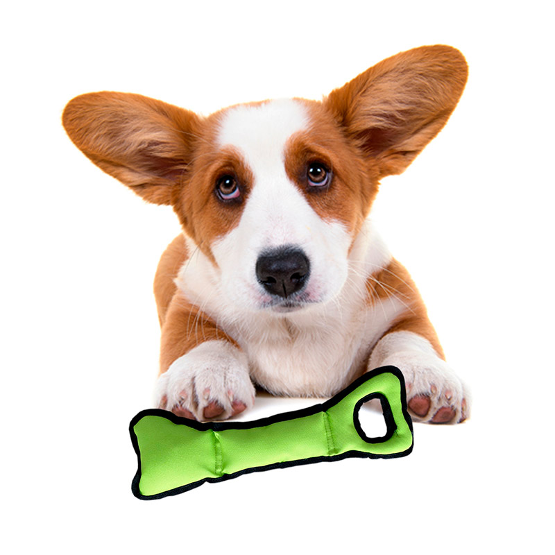 Mordedera para Perro Juguete para Morder Verde Punta Belleza