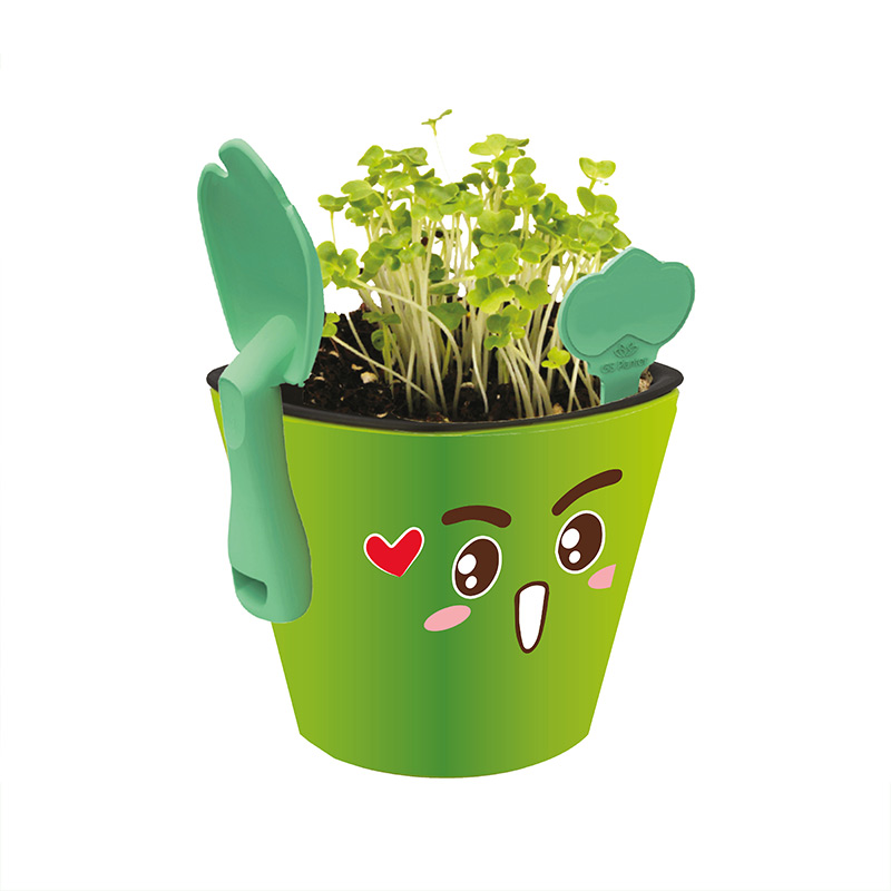 Kit educativo juguete didáctico para niños Aprendizaje de vocabulario inglés español, Germinación de plantas comestibles Maceta autorregable Kid planter SMART GARDEN Verde No incluye semillas.