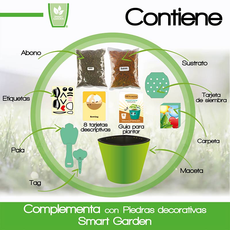 Kit educativo juguete didáctico para niños Aprendizaje de vocabulario inglés español, Germinación de plantas comestibles Maceta autorregable Kid planter SMART GARDEN Verde No incluye semillas.