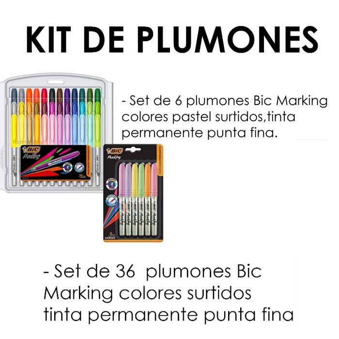 42 Plumones Permanentes Bic Marking Marcadores Con Pastel Bic