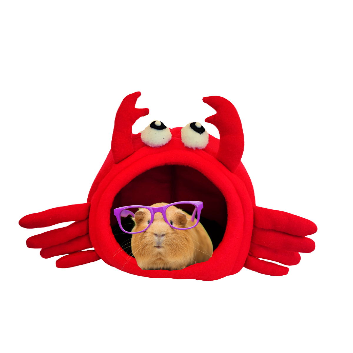 CASA CAMA PARA CUYO ERIZO HAMSTER JERBO ROEDORES FORMA LANGOSTA CANGREJO