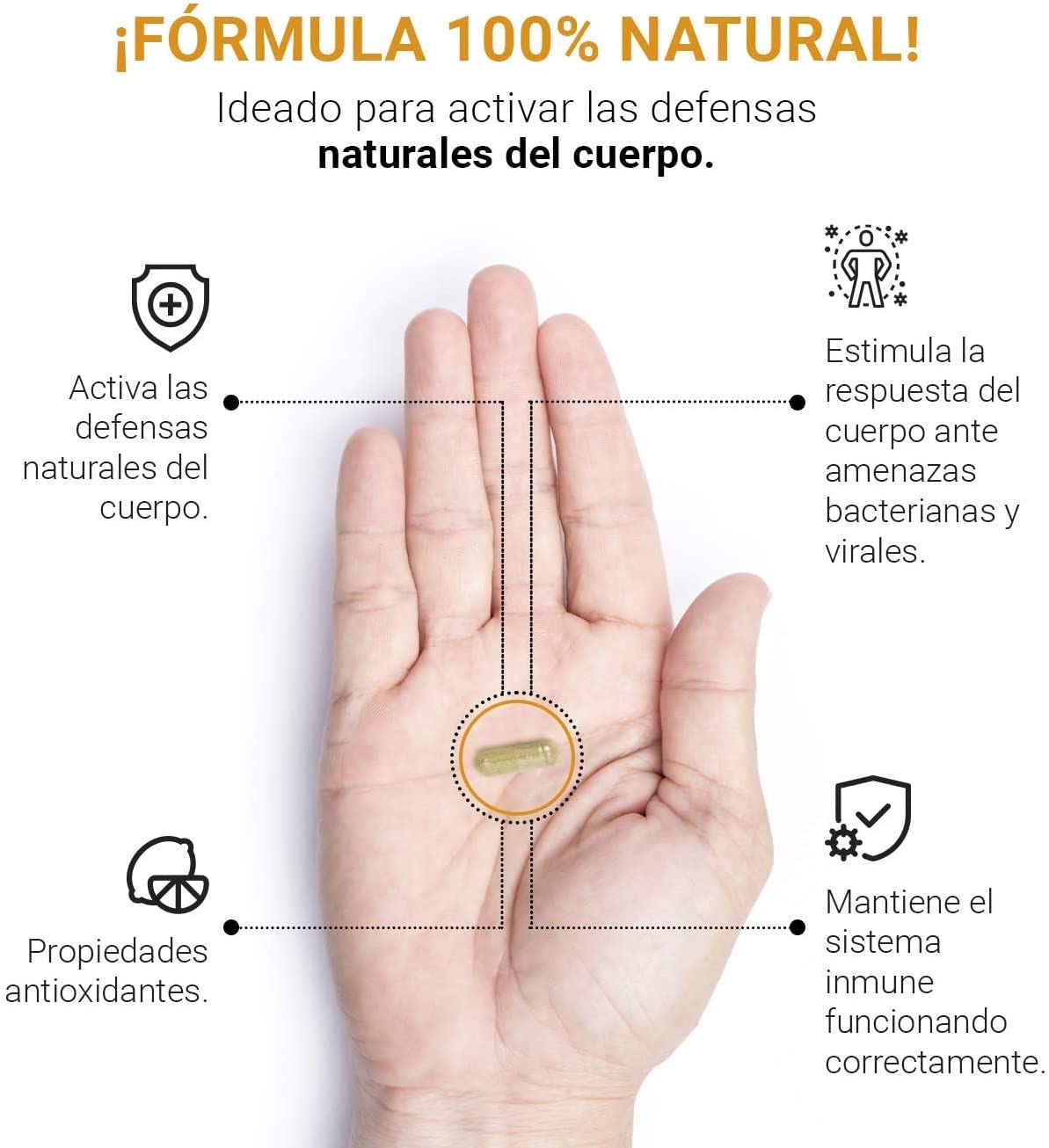 FACTOR DE TRASFERENCIA, Formulado para Aumentar, Reforzar y Mantener el Sistema Inmune IMMUNE SYSTEM SUPPORT 60 CAPS CALIDAD PREMIUM