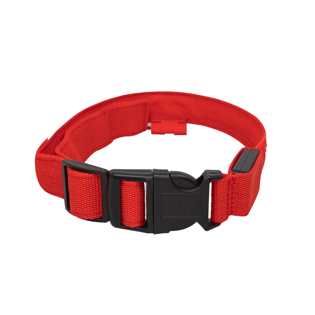 Collar Para Gato Perro Con Luz Led Ajustable Paseo Nocturno. Rojo. Talla XS