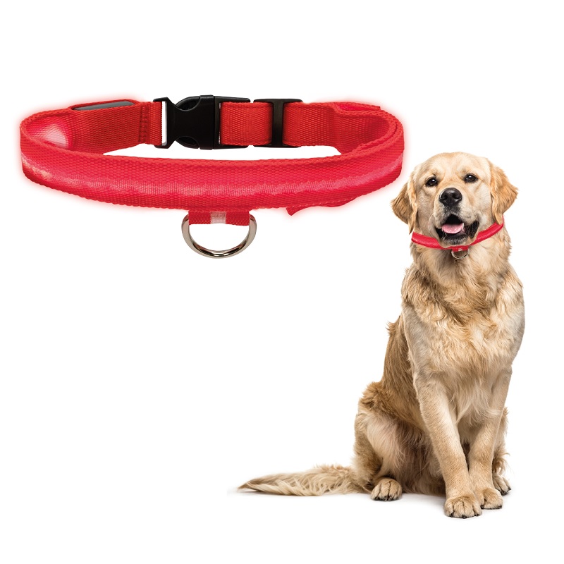 Collar Para Gato Perro Con Luz Led Ajustable Paseo Nocturno. Rojo. Talla XS