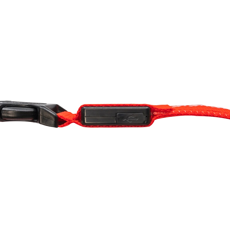 Collar Para Gato Perro Con Luz Led Ajustable Paseo Nocturno. Rojo. Talla XS