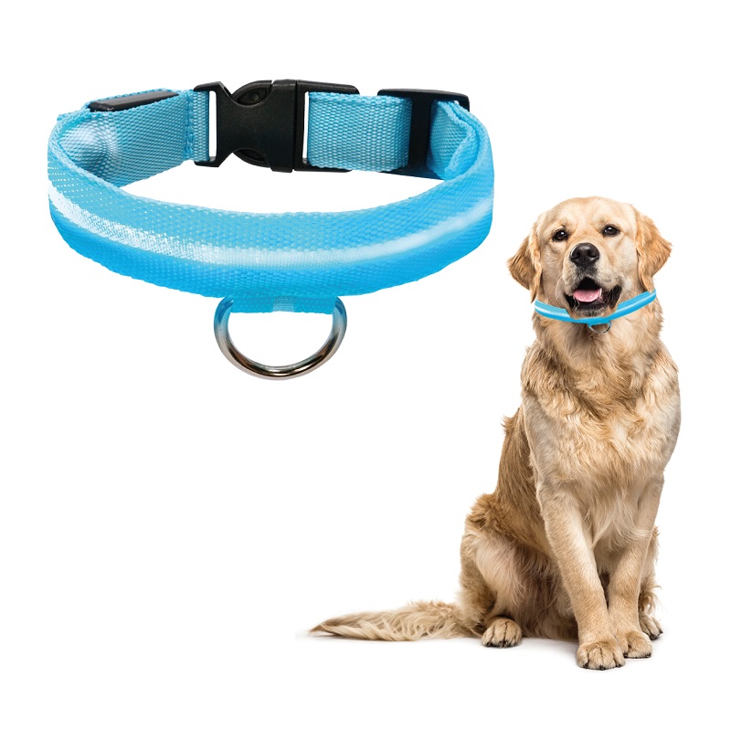 Collar Para Gato Perro Con Luz Led Ajustable Paseo Nocturno. Azul. Talla XS