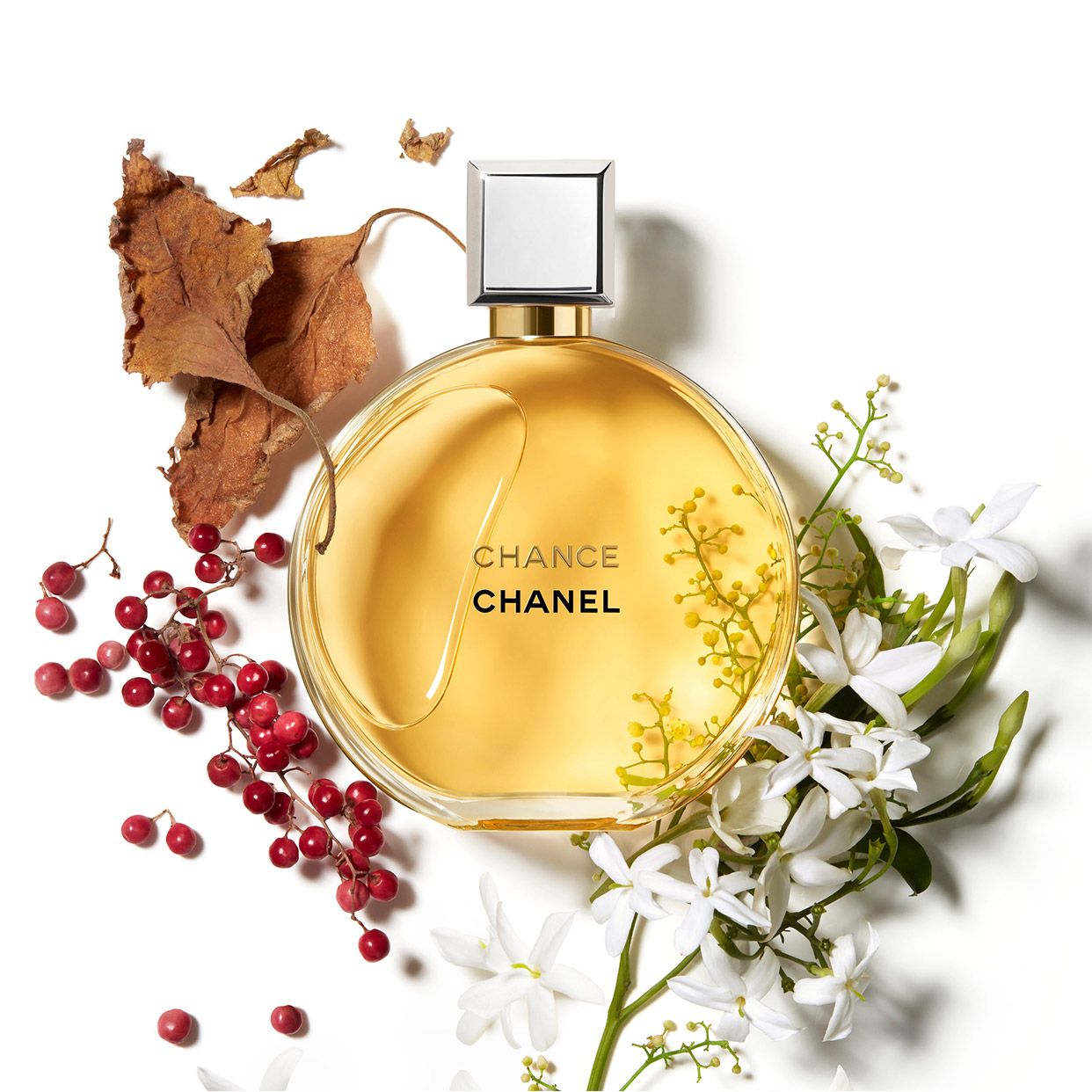 Perfume Chance De Chanel Eau De Parfum 100 Ml