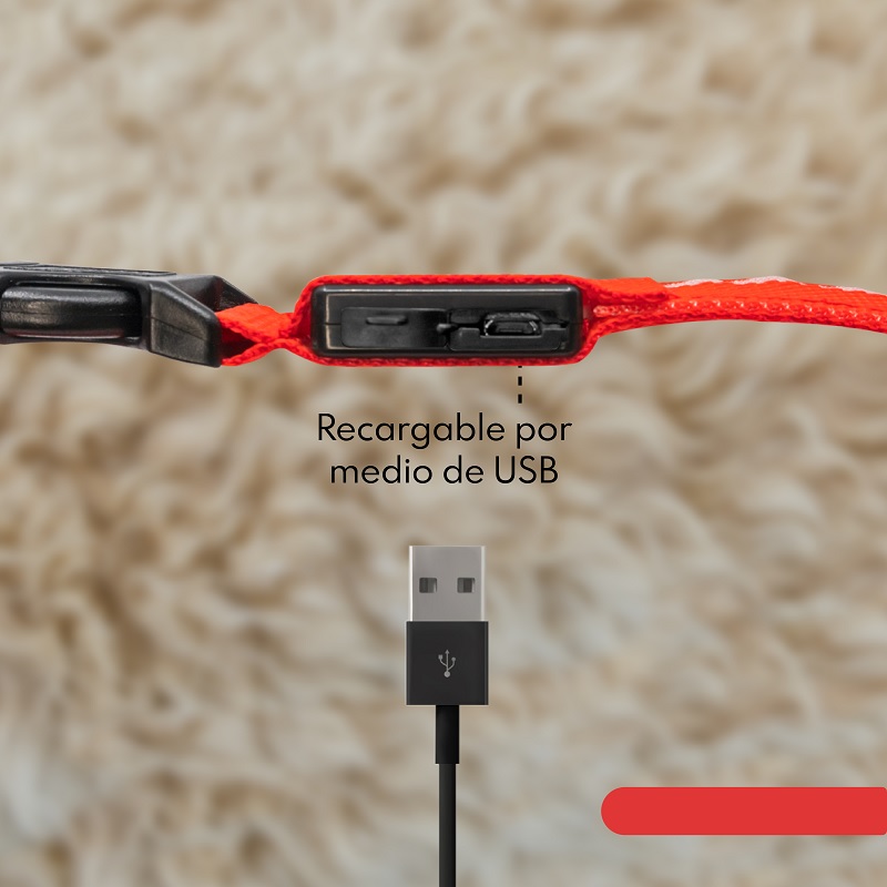Collar Para Gato Perro Con Luz Led Ajustable Paseo Nocturno. Rojo. Talla XS