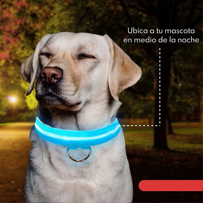 Collar Para Gato Perro Con Luz Led Ajustable Paseo Nocturno. Rojo. Talla XS