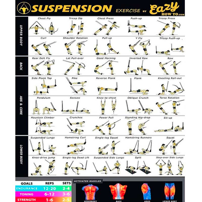Sistema De Suspension P3pro Tipo-trx Bandas Ejercicio Ligas P3-PRO