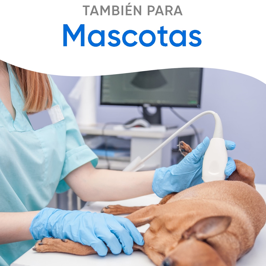 Gel conductor para Ultrasonido de alta viscosidad UltraGel Plus Bordson 5 lt 