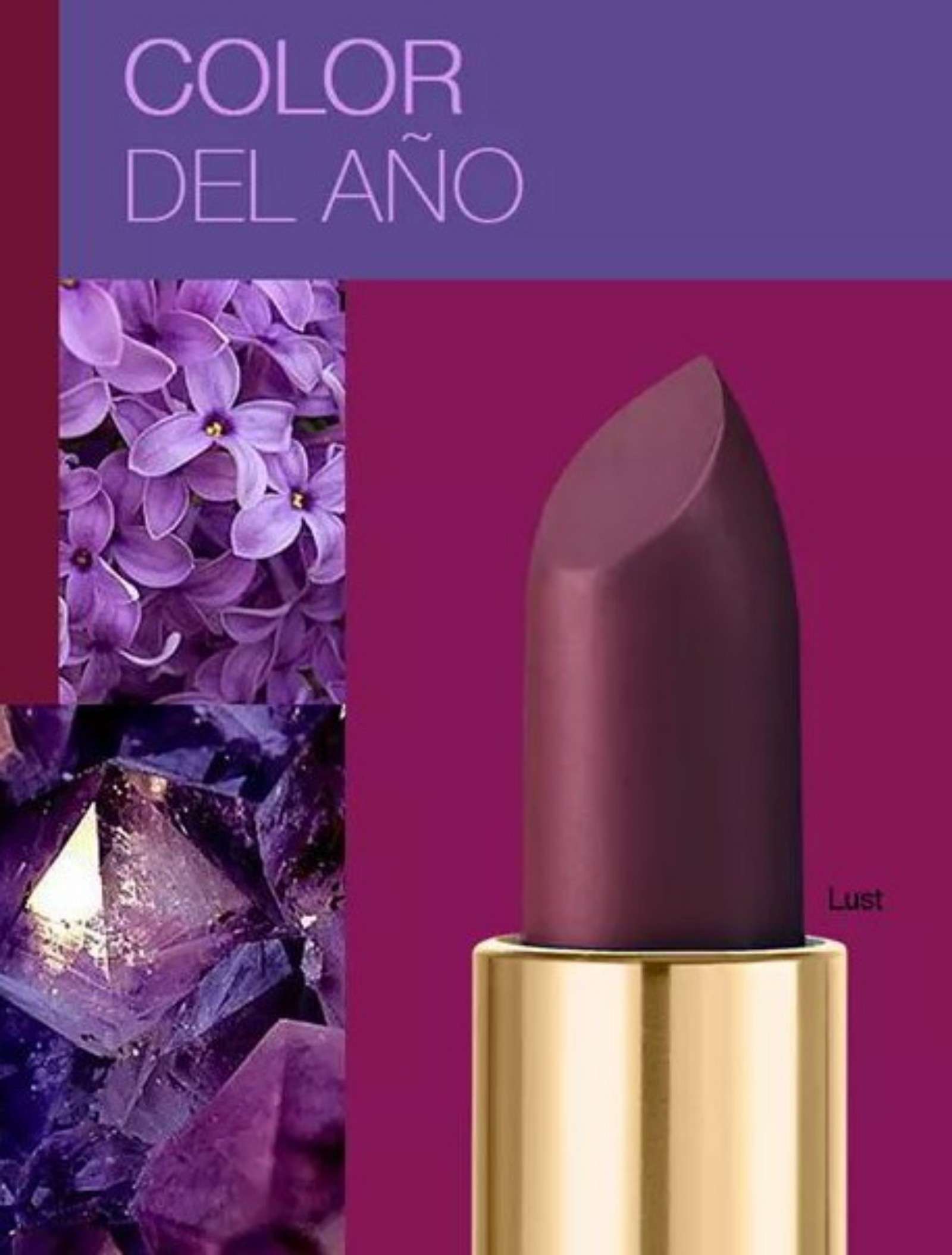 Labial Mate Tono Lust by Jafra