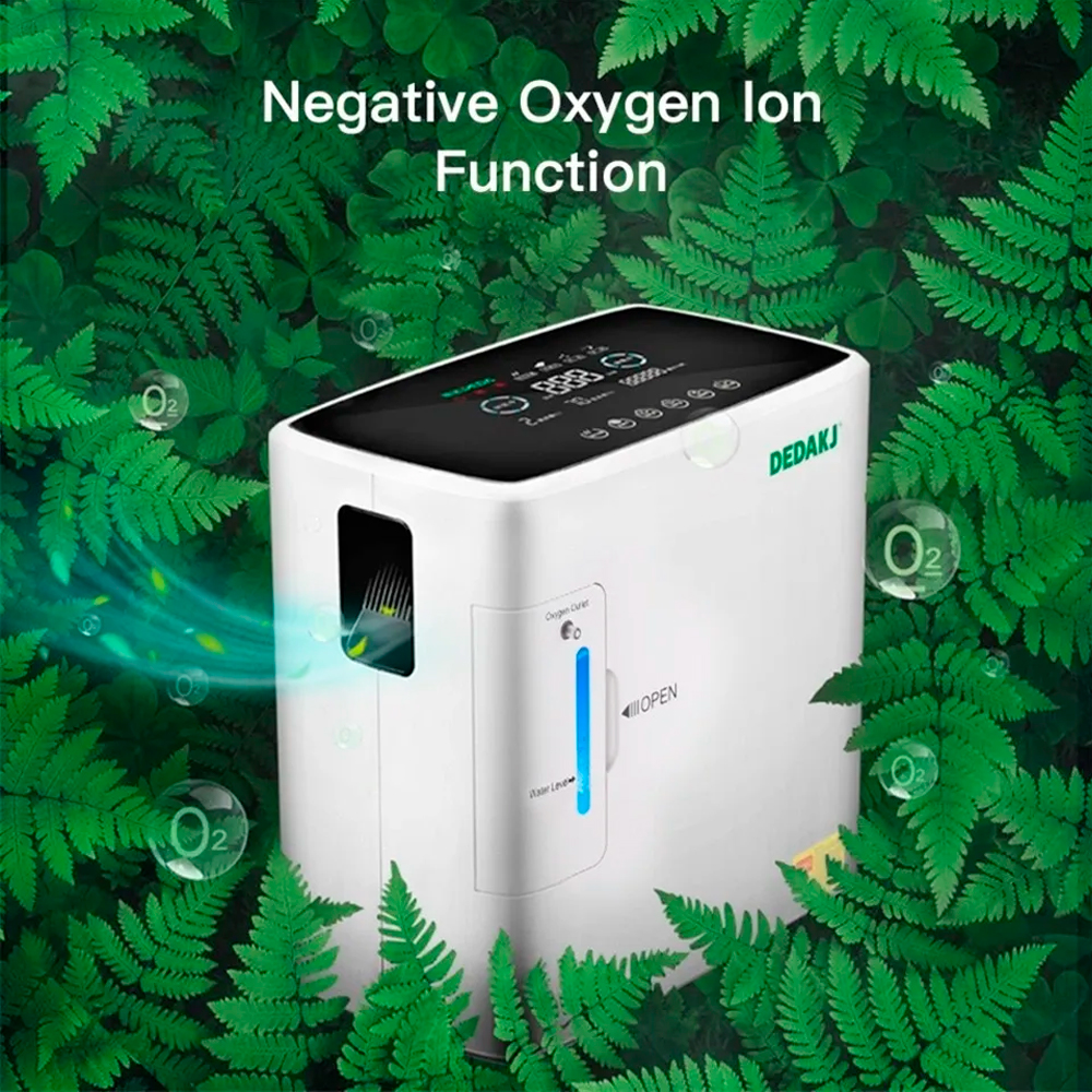 Generador De Oxigeno Concentrador Portátil 6l