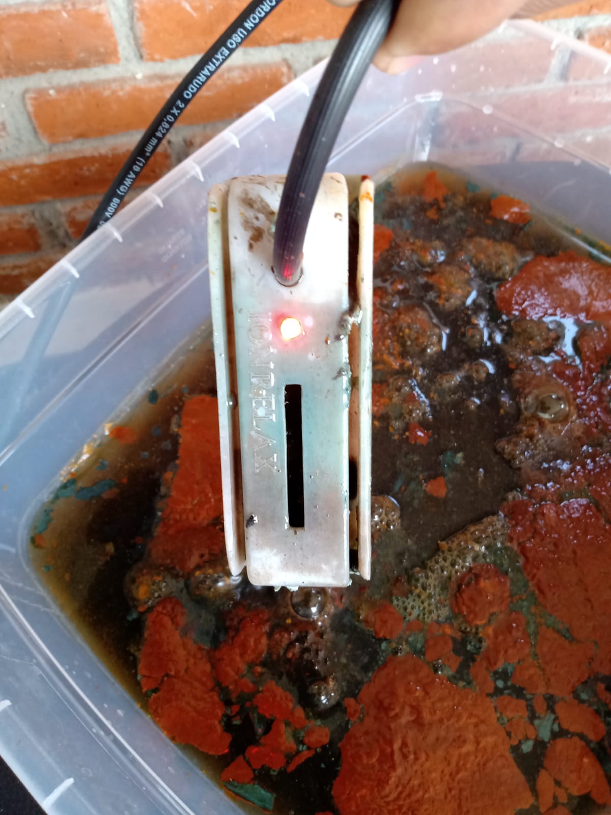 Desintoxicador profesional uso rudo ion détox pediluvio 