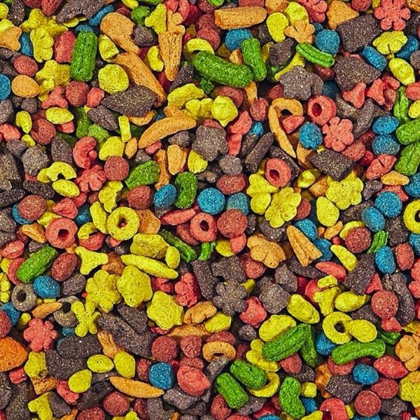 Croquetas Loros Y Guacamayas Kaytee Exact Rainbow 1.13 Kg