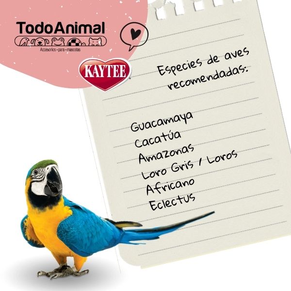 Croquetas Loros Y Guacamayas Kaytee Exact Rainbow 1.13 Kg