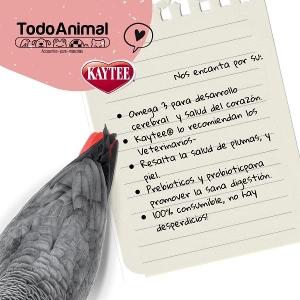 Croquetas Loros Y Guacamayas Kaytee Exact Rainbow 1.13 Kg