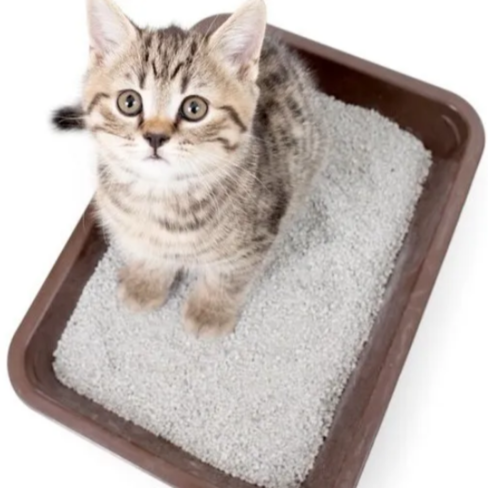 Arena Para Gato Clean & Dry Super Premium 15.4 Kg