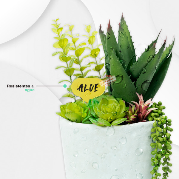 Set 12 Piezas Letreros Para Maceta Marcadores Plantas Mr-05