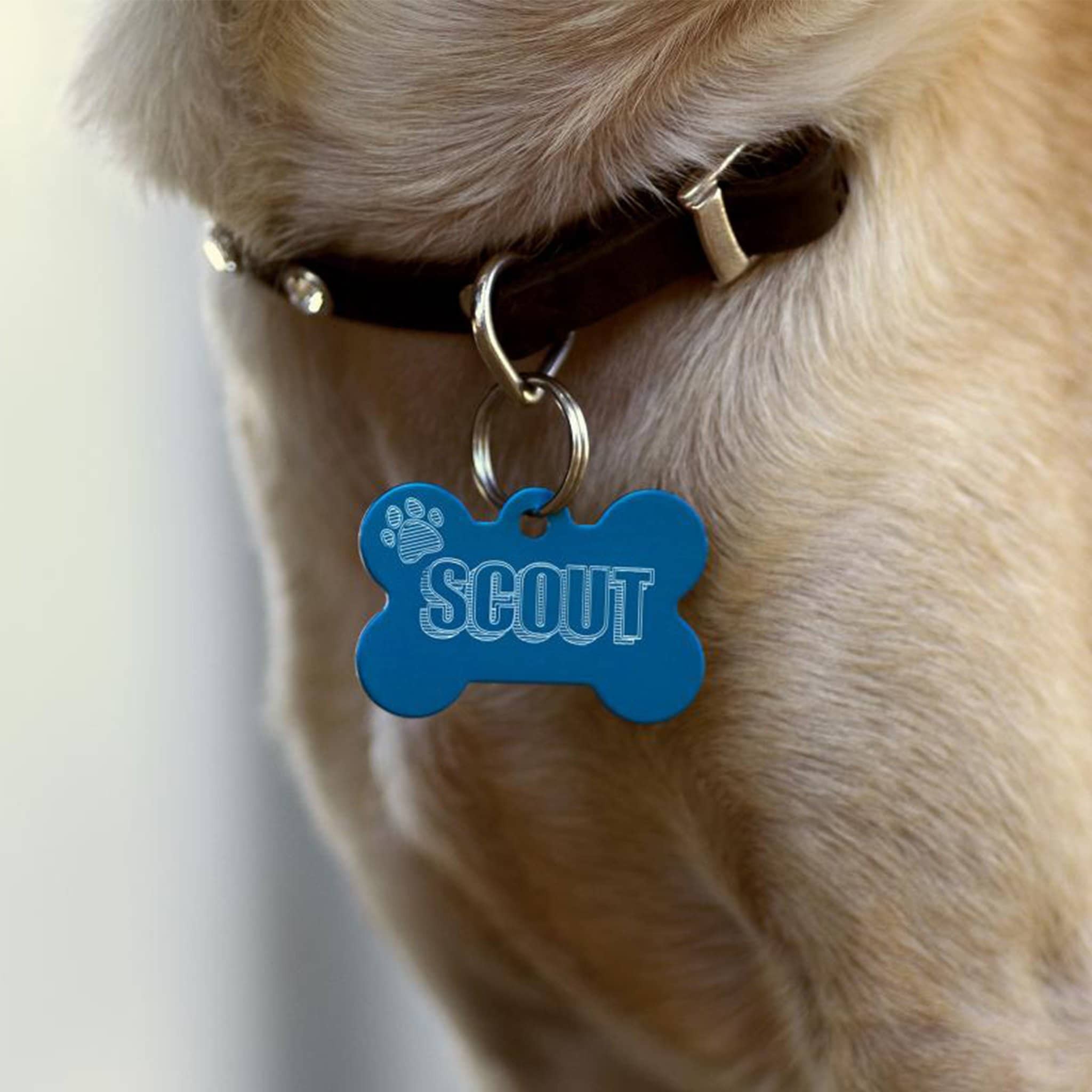 Plotter de corte Silhouette Curio