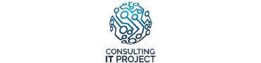 Consultig IT