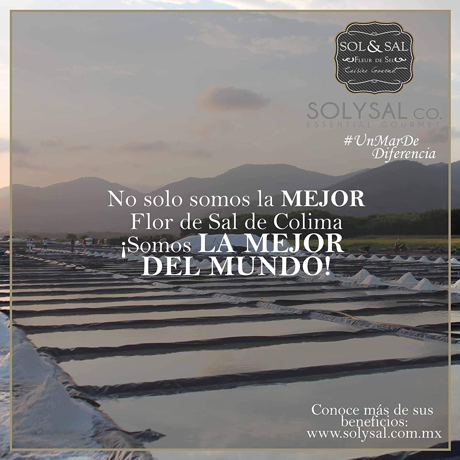 Flor de Sal - Sol & Sal - 100% orgánica, artesanal, natural y gourmet - Certificación Kosher y Mayacert - 500 gramos