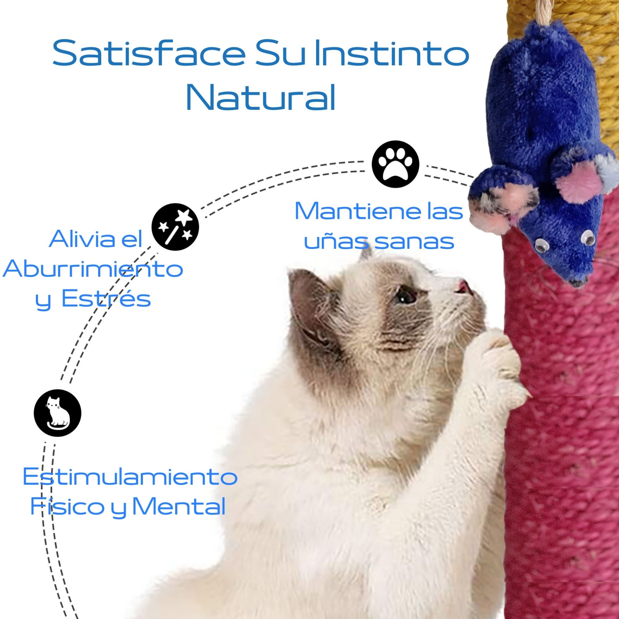 Poste Juguete Rascador Gato Grande | 1 Metro | Gratis Catnip | 