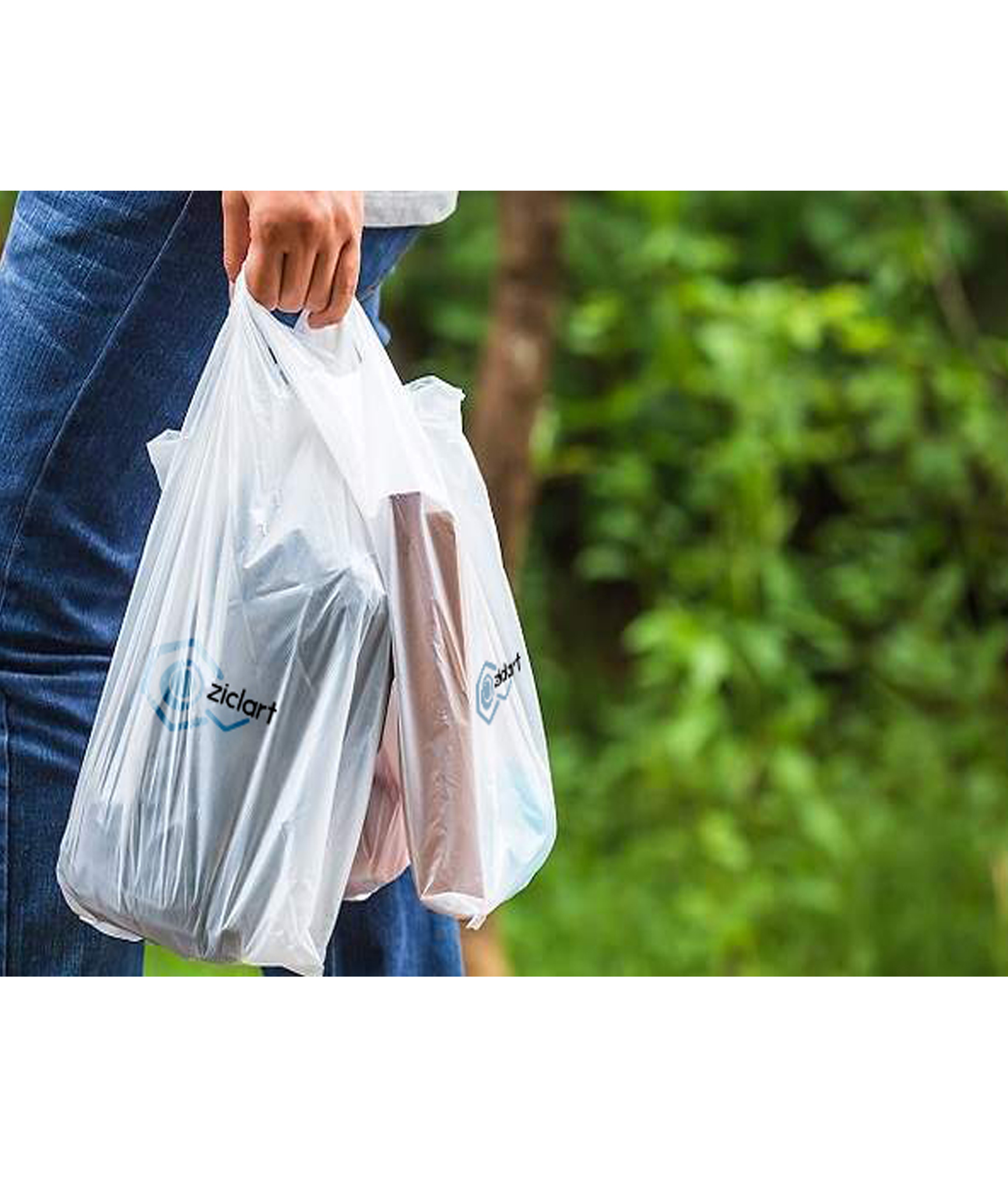 GENERICO Bolsa Plegable Con Ruedas Tipo Carrito Para Compras Eco