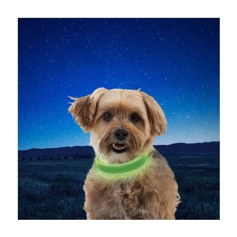 Collar/correa Para Perro Con Luz Led Color Verde