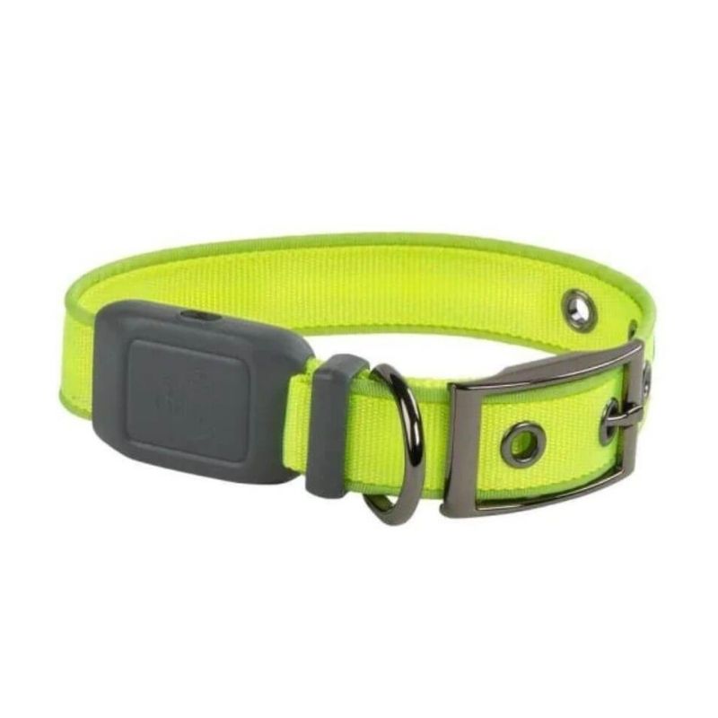 Collar/correa Para Perro Con Luz Led Color Verde