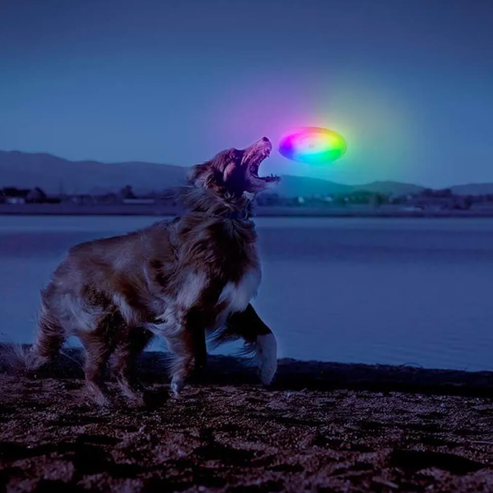  Disco Para Perro Con Luz Led Nite Ize Mod.FFDD-07-R8