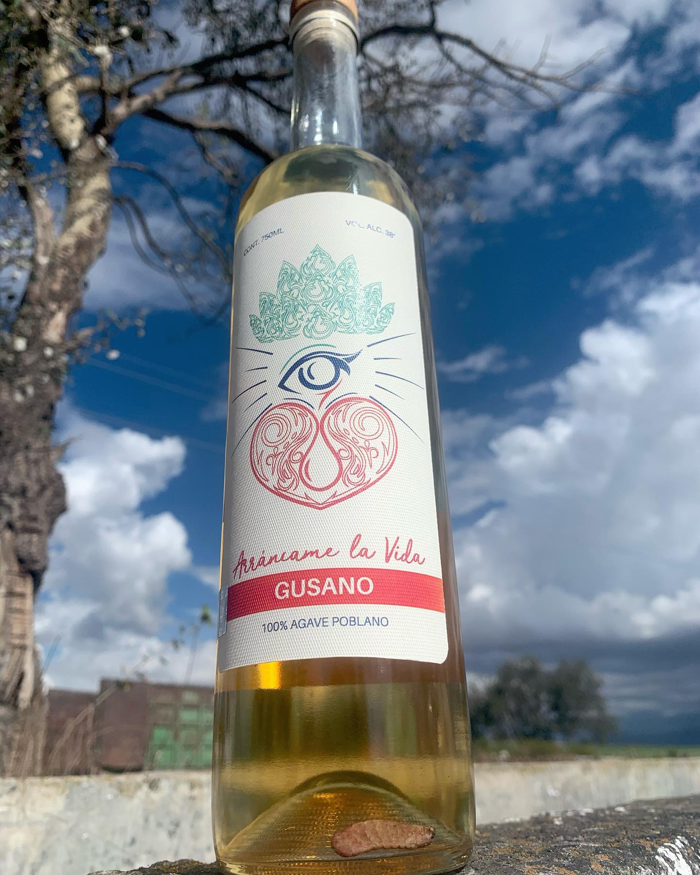 Mezcal Reposado con Gusano