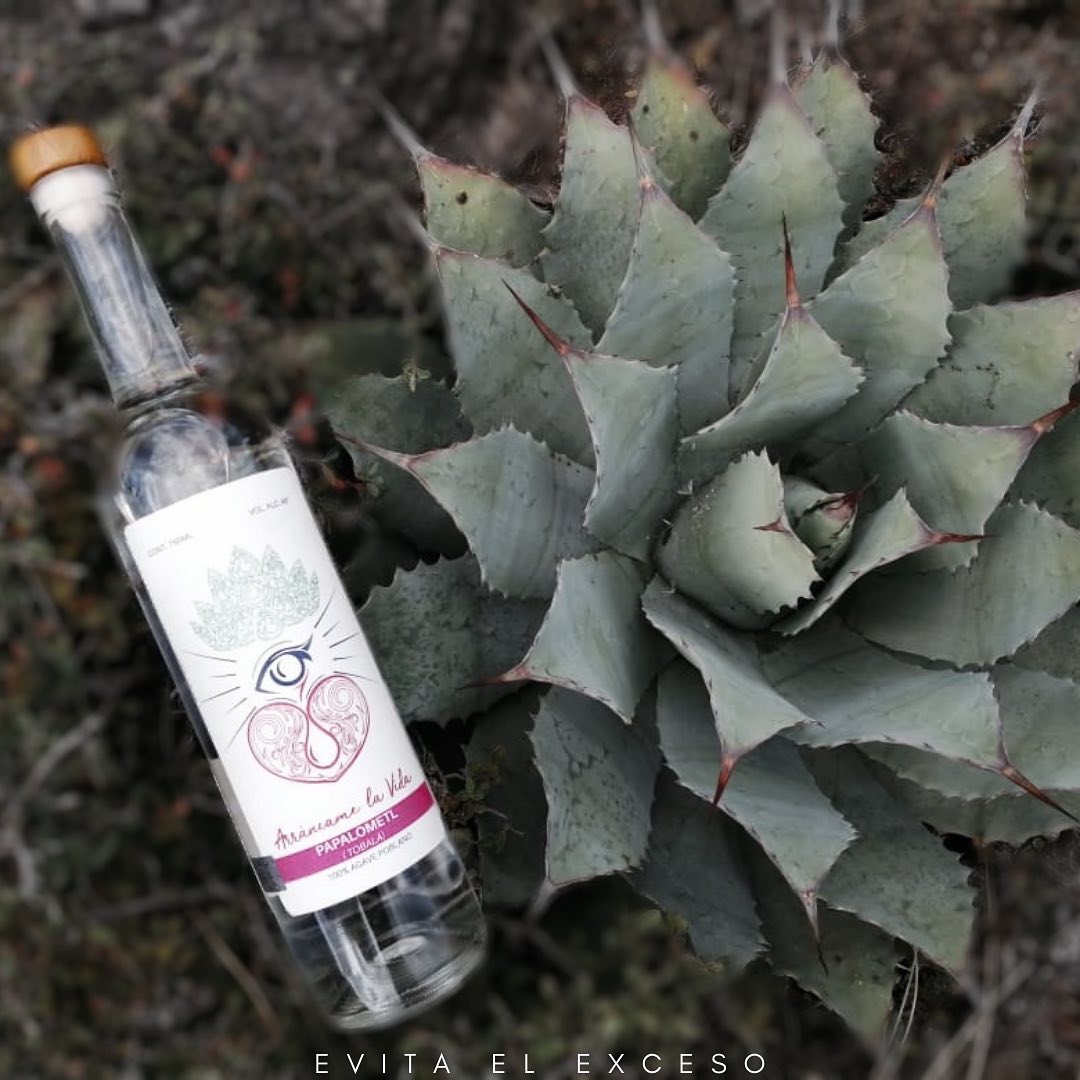 Mezcal Papalometl