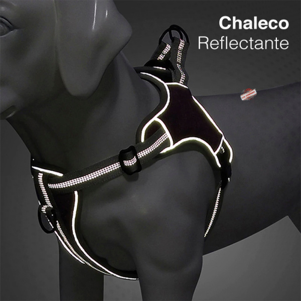 Pechera Arnes Reflectante Ajustable Perro Mascota Talla Ch
