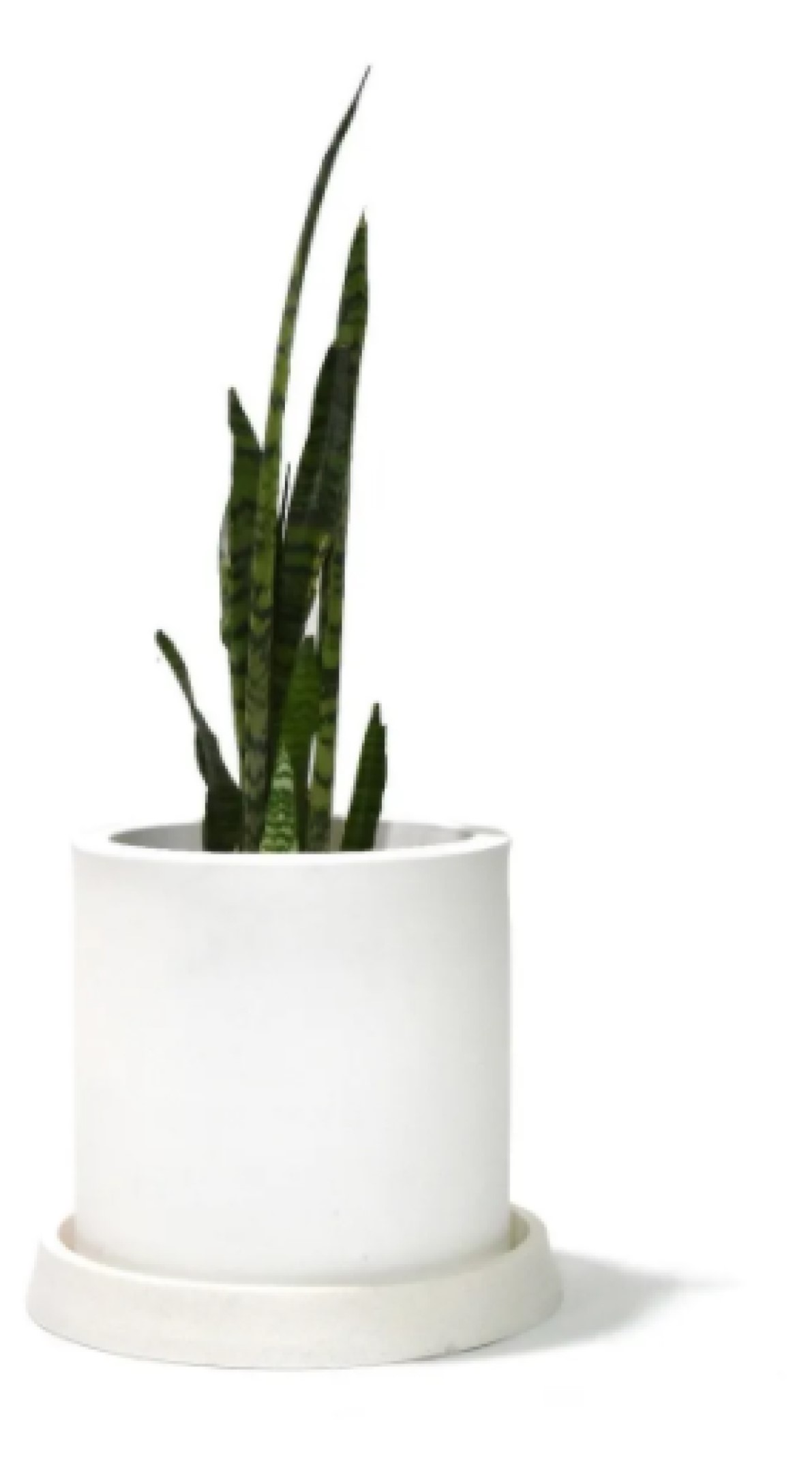 Maceta Cilindro Moderna Con Plato-Base Interior/exterior