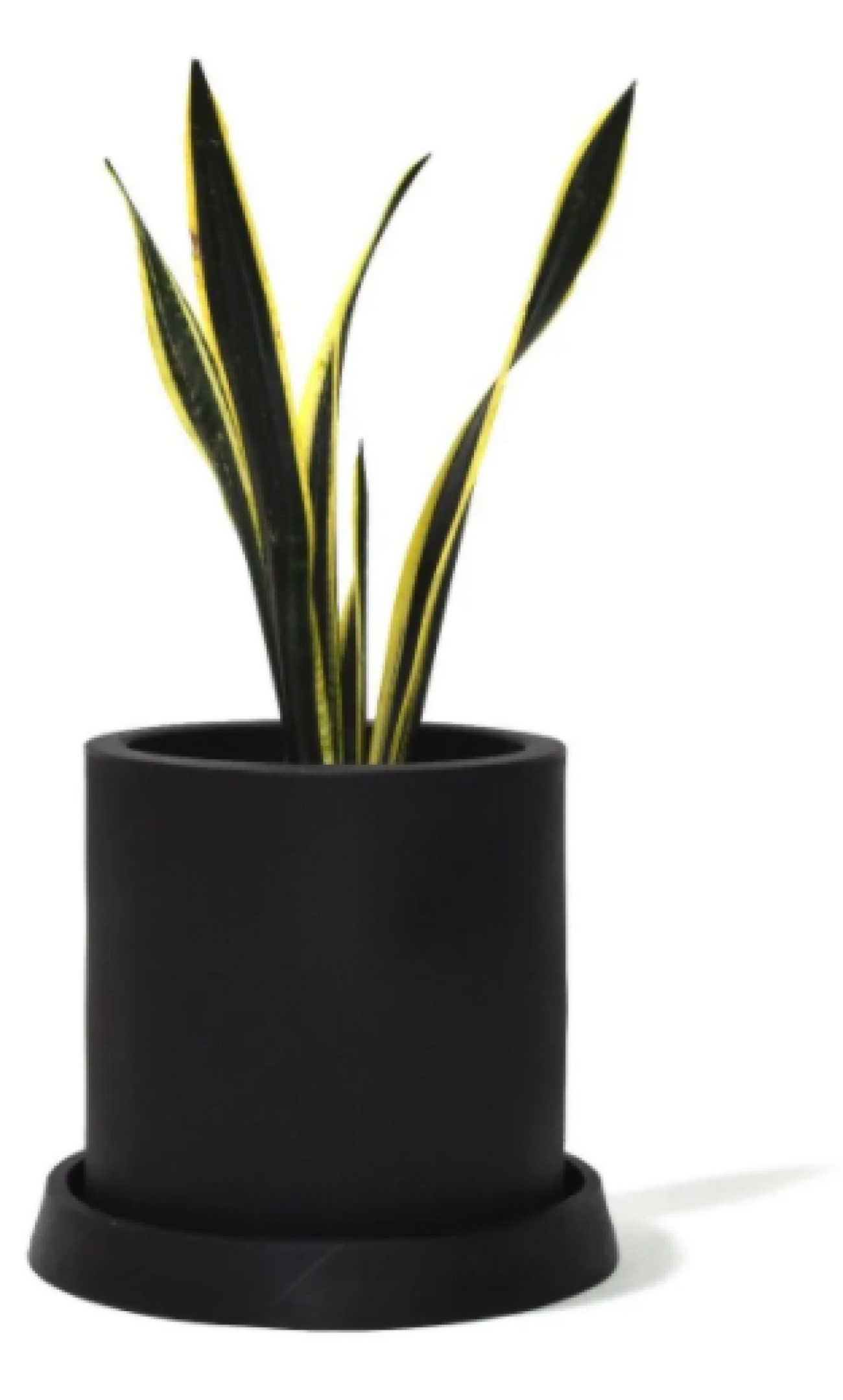 Maceta Cilindro Moderna Con Plato-Base Interior/exterior