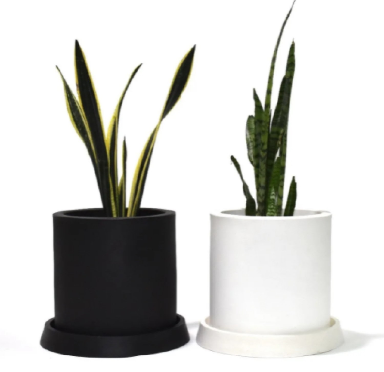 Maceta Cilindro Moderna Con Plato-Base Interior/exterior