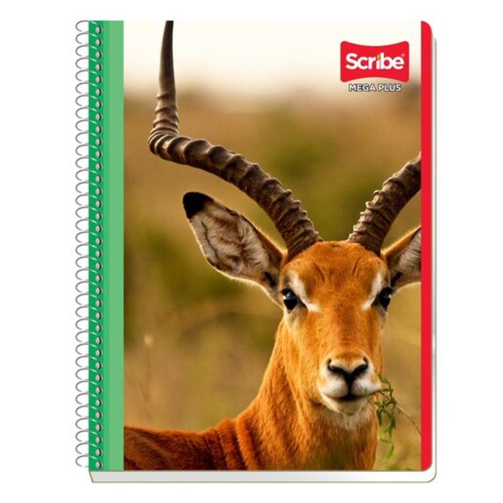 Cuadernos Profesional Scribe 100 Hojas , caudro grande,cuadro chico,raya