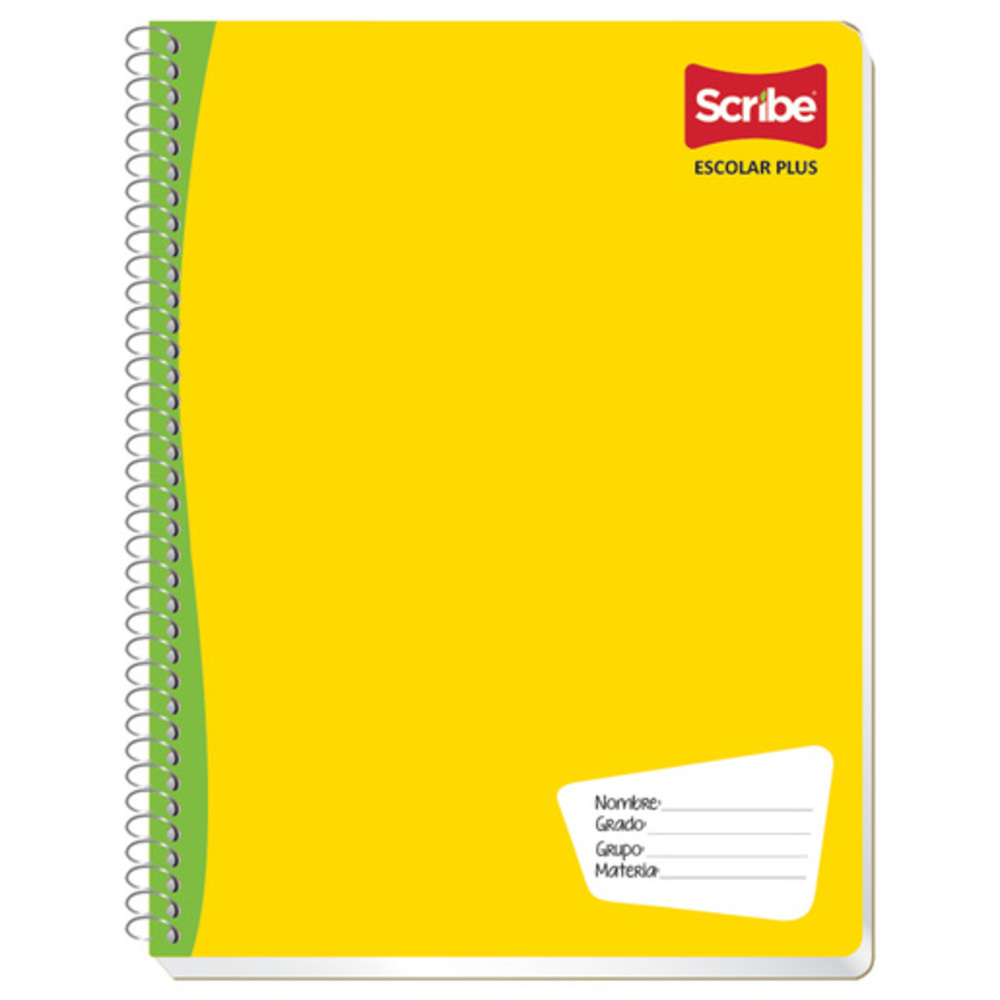 Cuadernos Profesional Scribe 100 Hojas , caudro grande,cuadro chico,raya