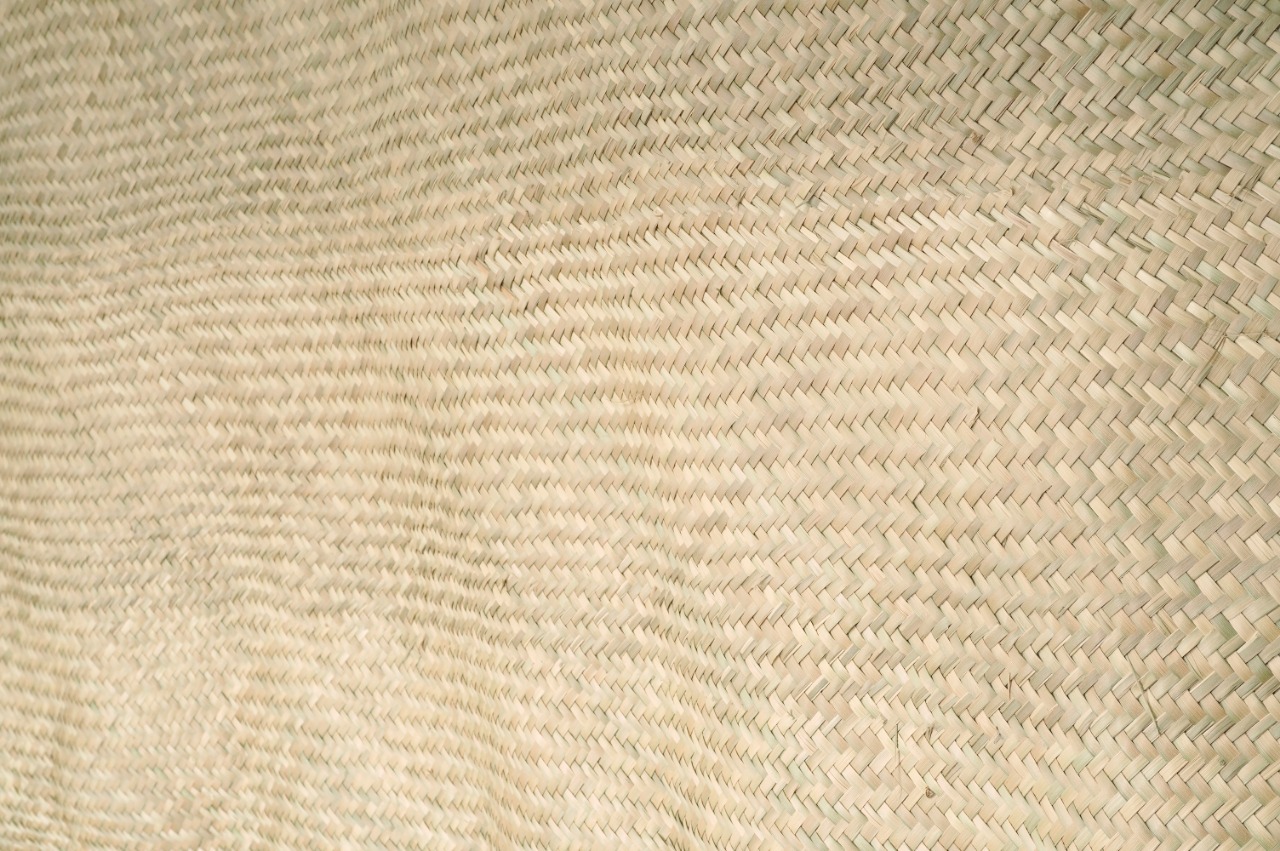 Petate Artesanal De Palma Tejido San Jose