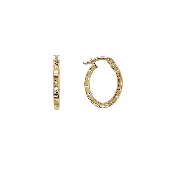 Arracadas Ovaladas en Oro Amarillo de 14 K + Obsequio