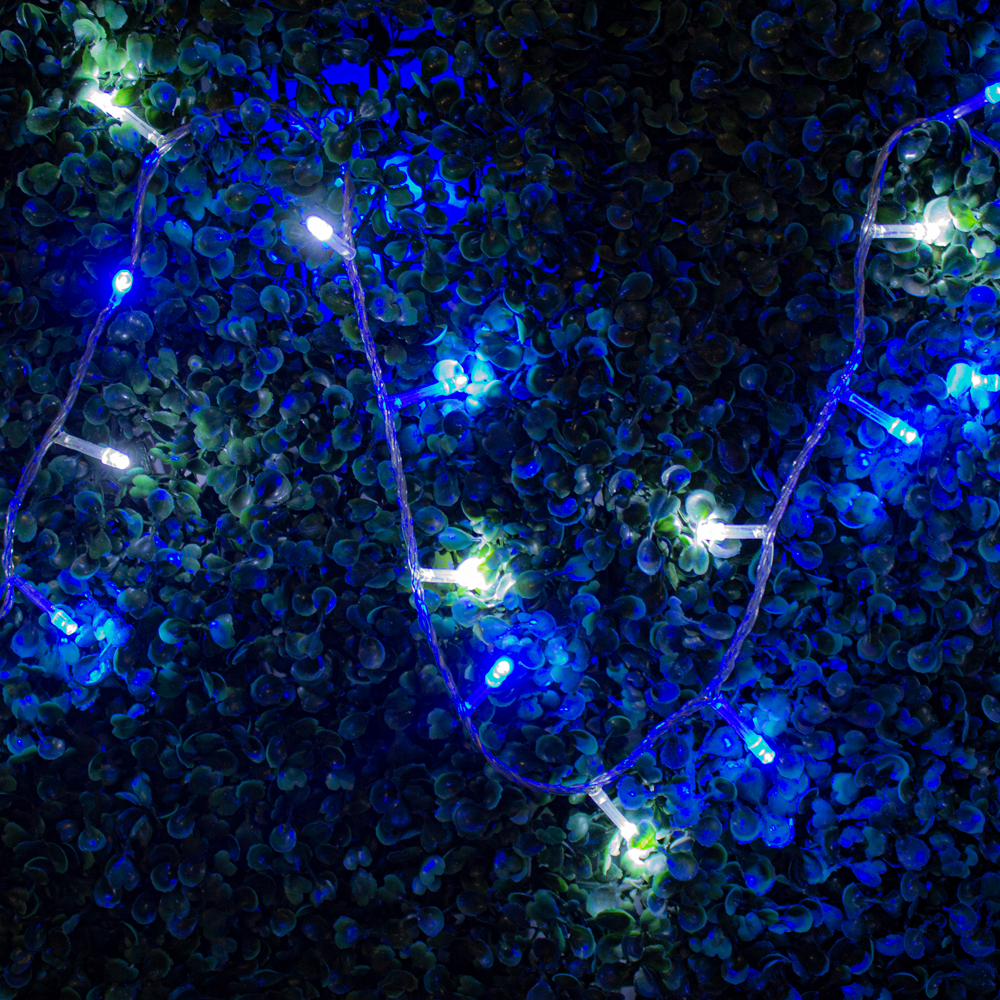 Serie Decorativa Paquete 6 Pz Luz Led Azul/Blanco 60 Focos 8 Funciones Cable Transparente 3m
