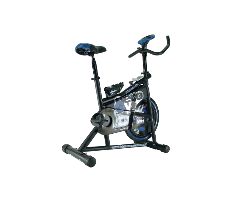 Bicicleta Mercurio Fija Para Ejercicio Aerogym Con Velocímetro